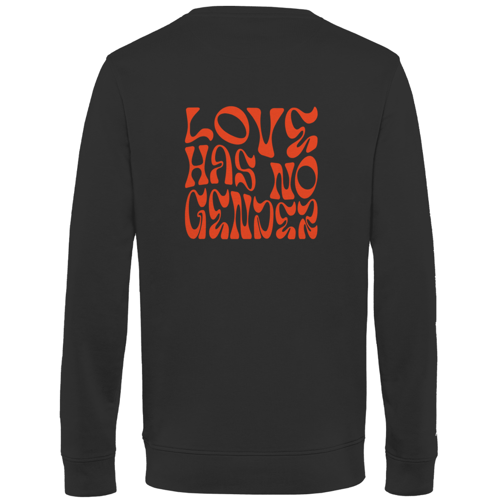 Pullover "Love has no Gender"