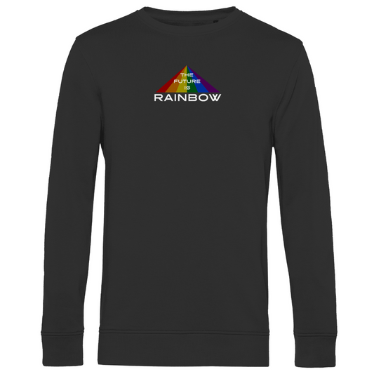 Pullover "The Future is Rainbow"