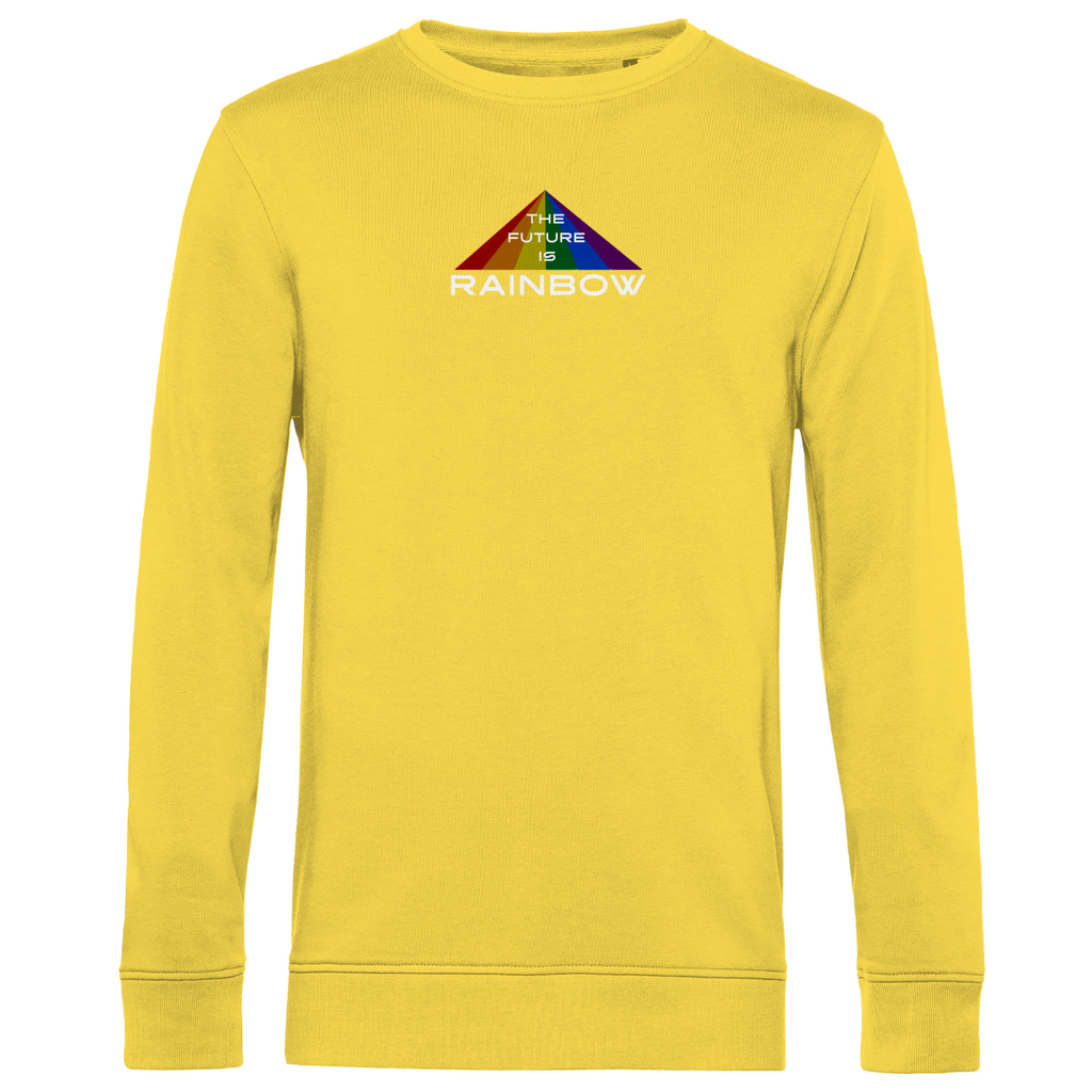 Pullover "The Future is Rainbow"