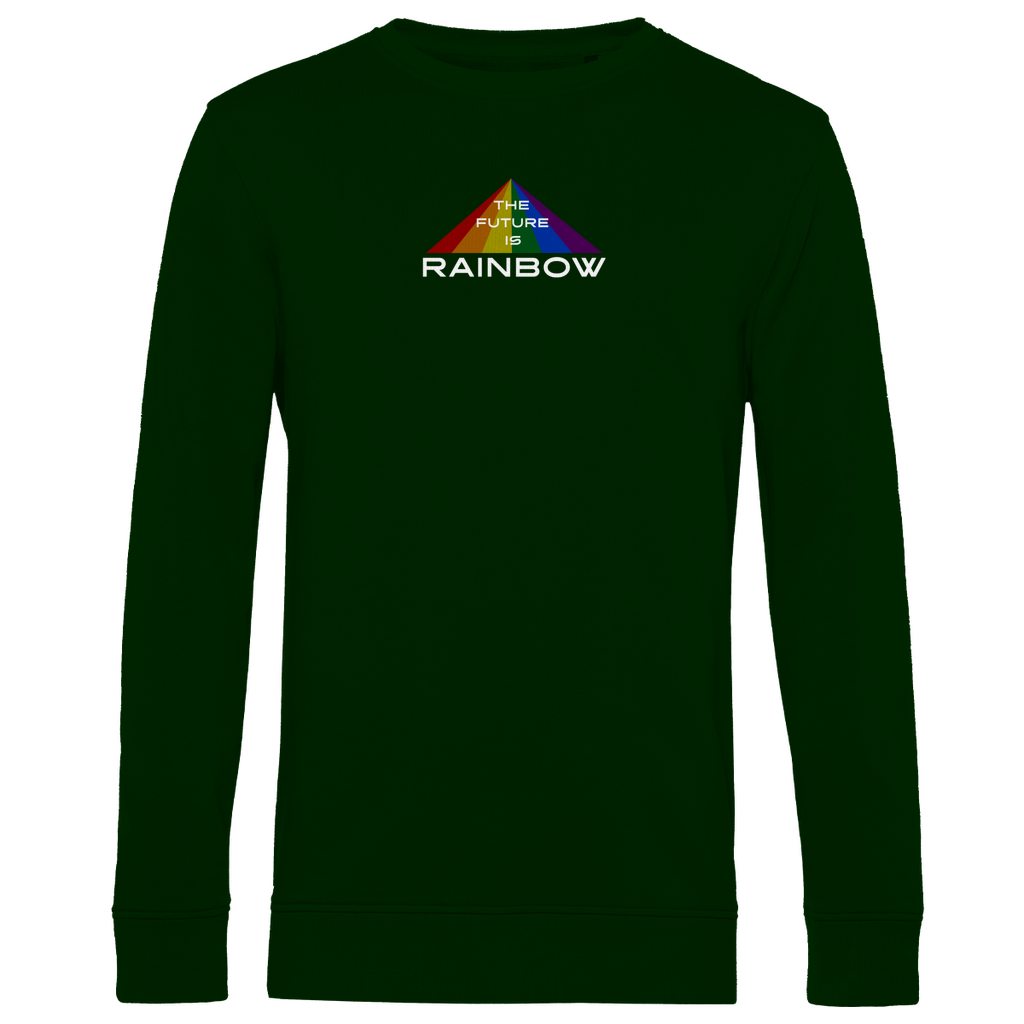 Pullover "The Future is Rainbow"
