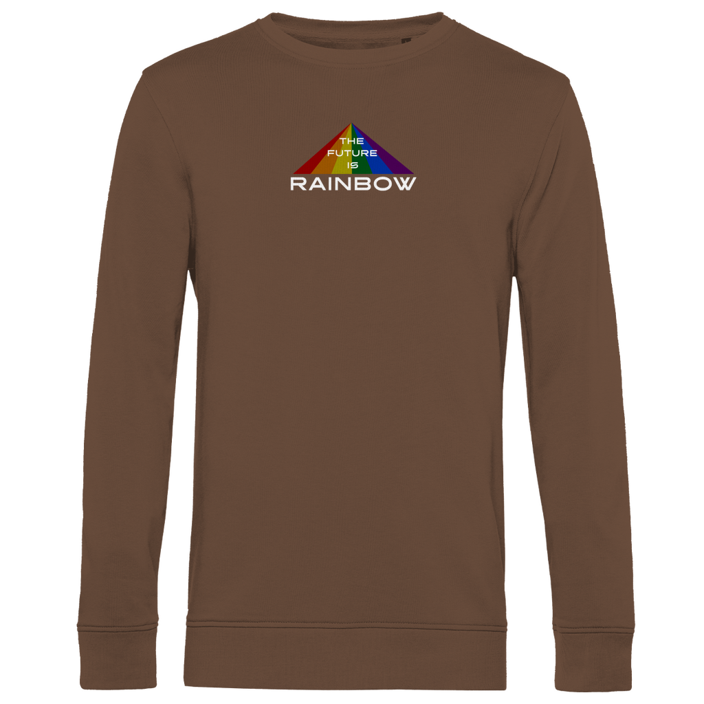 Pullover "The Future is Rainbow"